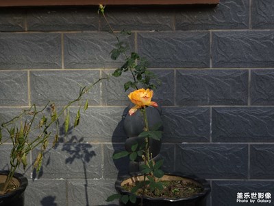 入冬第一波明显降温