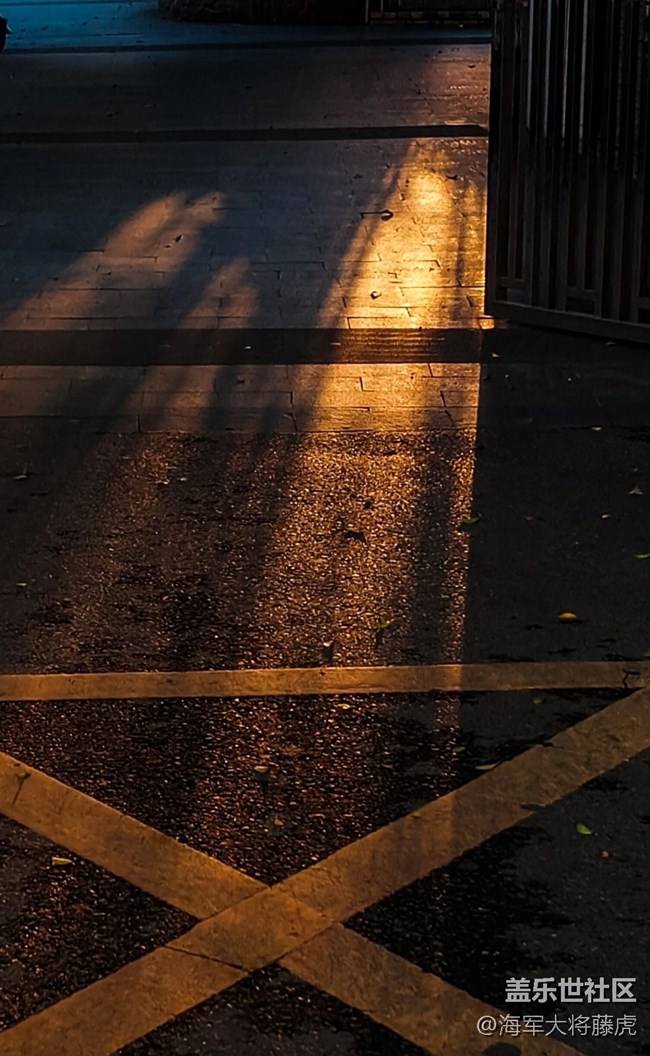 【世间的美好】世间美好,在光影里悄然绽放 【世间的美好】世间美好,在光影里悄然绽放