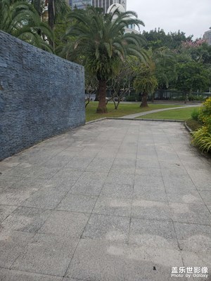 【地标最佳机位】中心公园