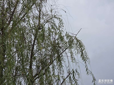 【地标最佳机位】秋风起