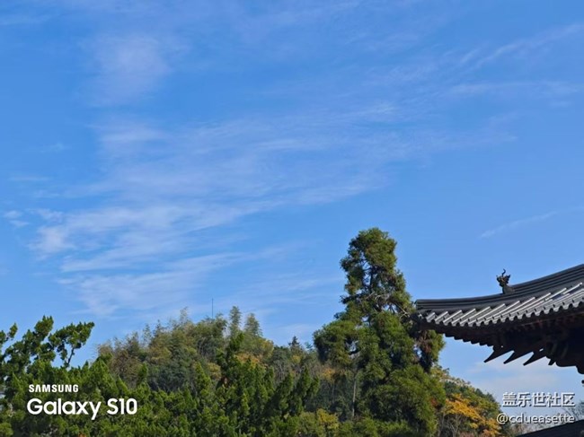 【鹏城寻冬记】静美秋天