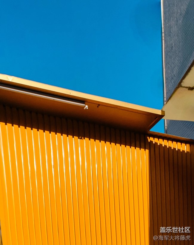 【世间的美好】世间美好,在光影里悄然绽放 【世间的美好】世间美好,在光影里悄然绽放