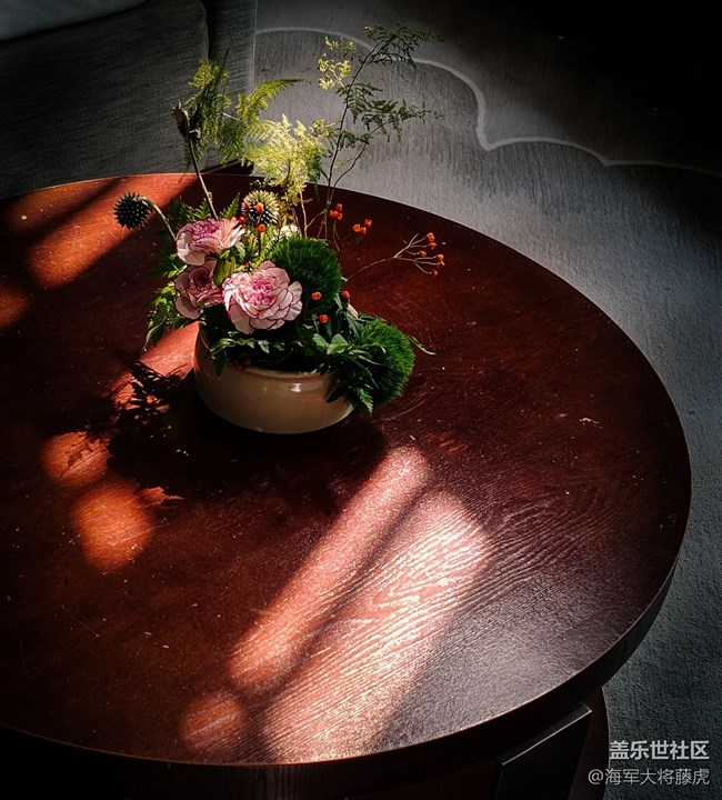 【世间的美好】世间美好,在光影里悄然绽放 【世间的美好】世间美好,在光影里悄然绽放