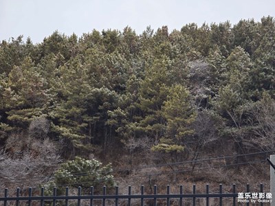 【地标最佳机位】+ 运动地点