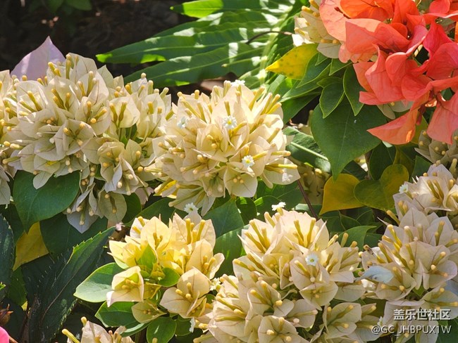 【国庆旅途】旅行的日子里