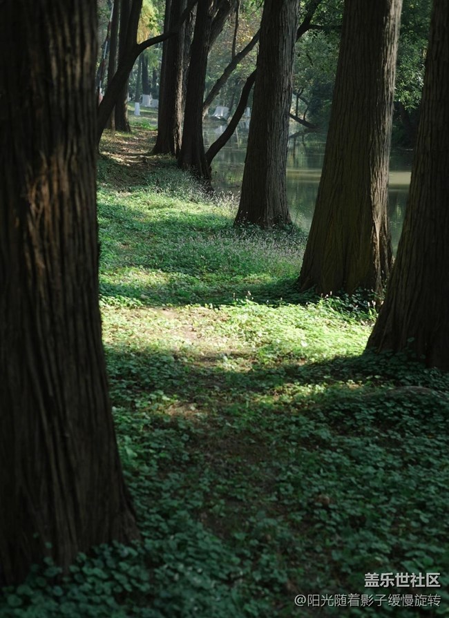 【秋季采风计划】公园一角