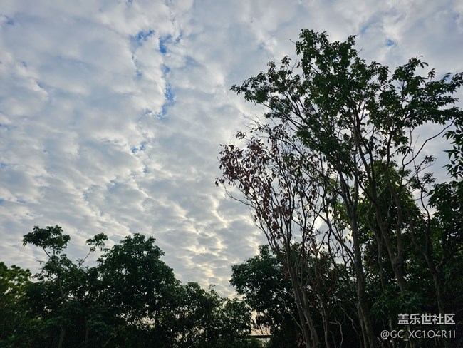 【秋季采风计划】多云天空