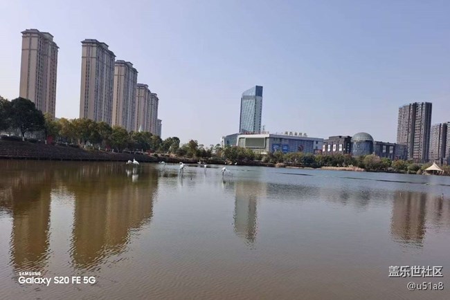 【鹏城寻冬记】冬季公园