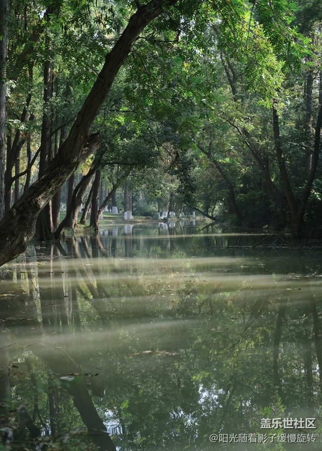 【秋季采风计划】公园一角