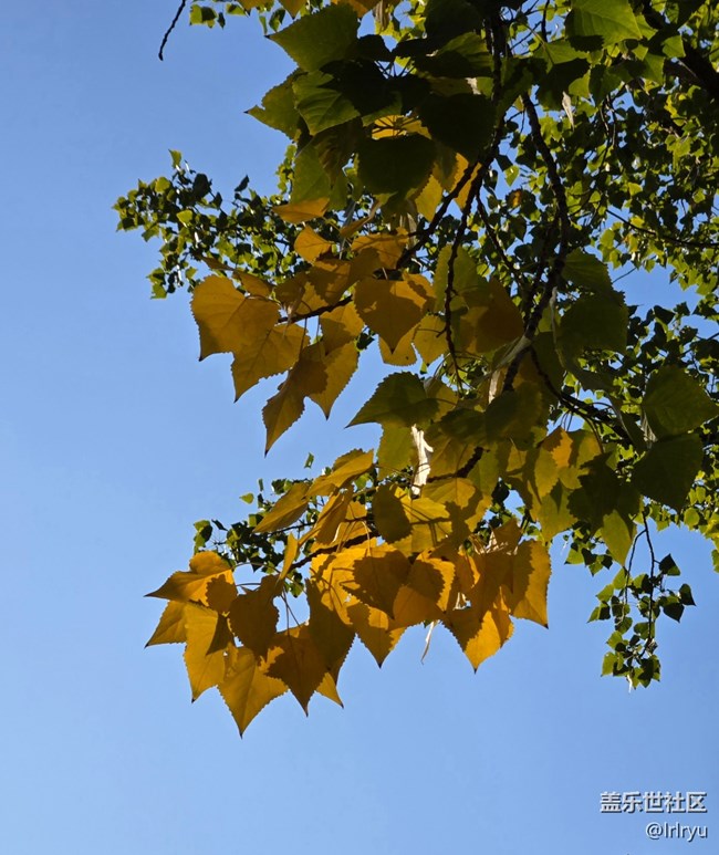 【国庆旅途】自然的美好