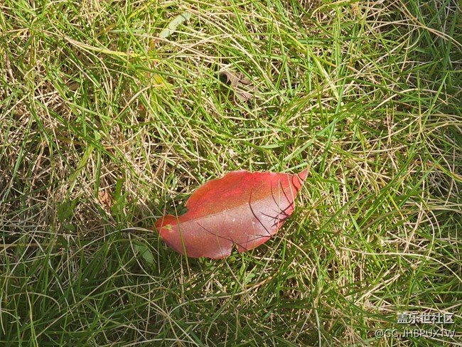 【全镜影像】阳光日子里