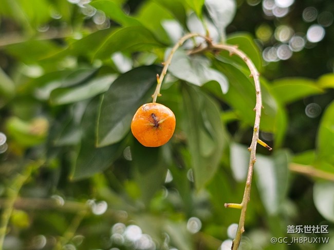 【秋季采风计划】秋天角落