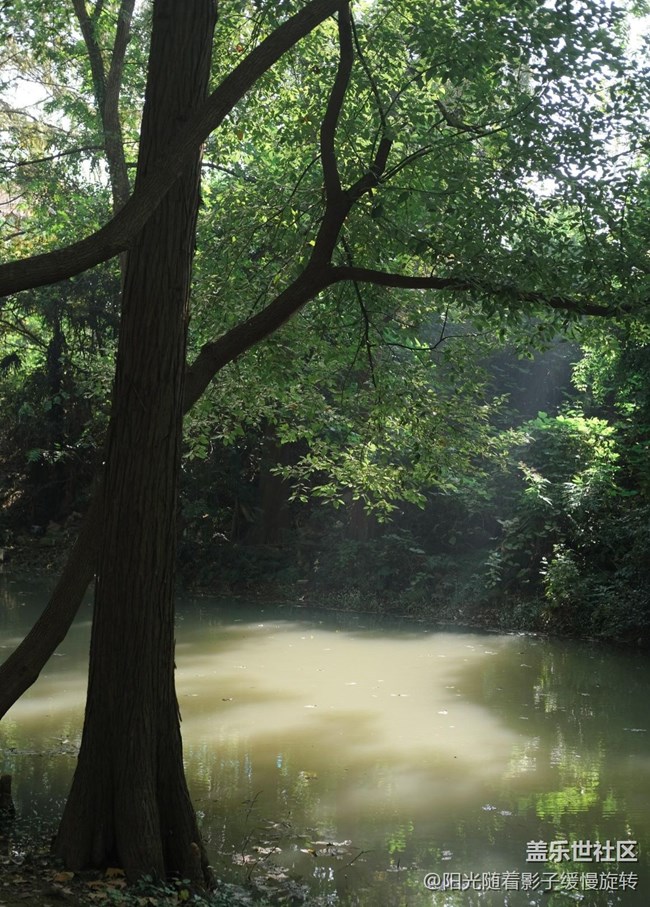 【秋季采风计划】公园一角