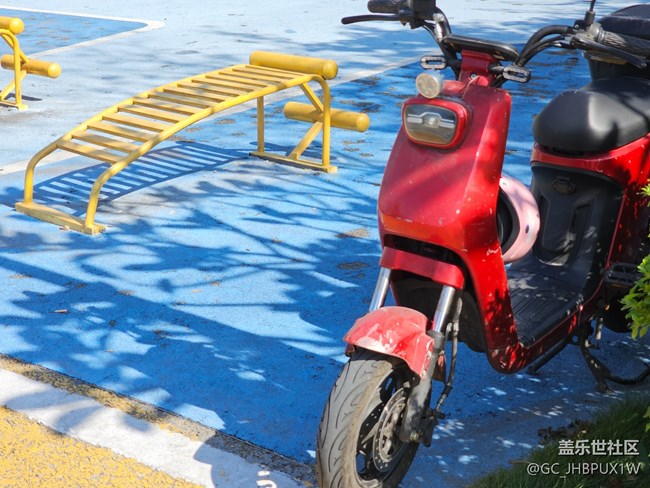 【全镜影像】阳光日子里