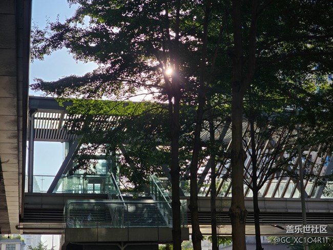 【世间的美好】美好时刻