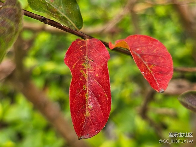 【秋季采风计划】秋天角落