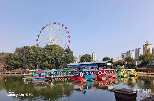 【鹏城寻冬记】冬季公园