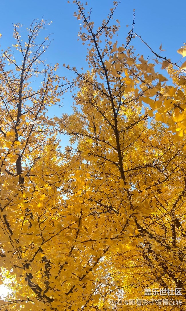 【世间的美好】秋日氛围