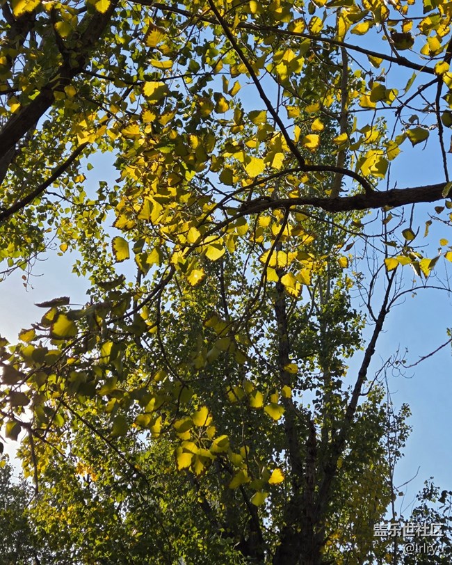 【国庆旅途】自然的美好