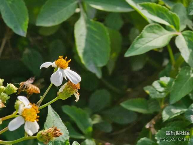 【世间的美好】美好时刻