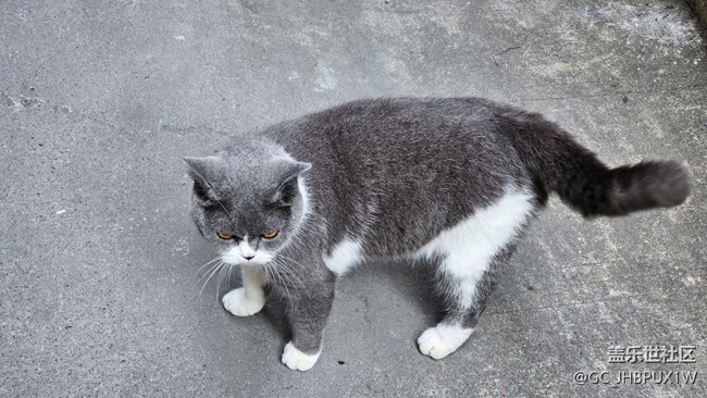 【世间的美好】日常美好