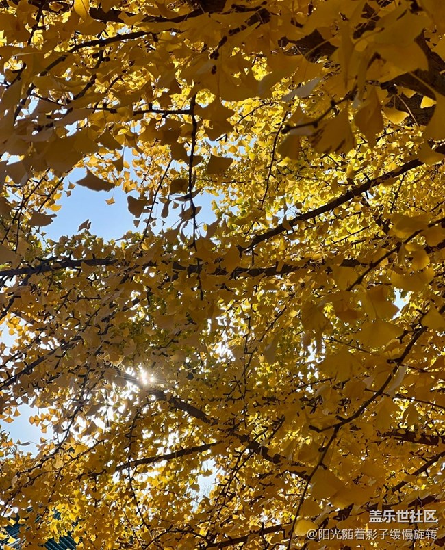 【世间的美好】秋日氛围