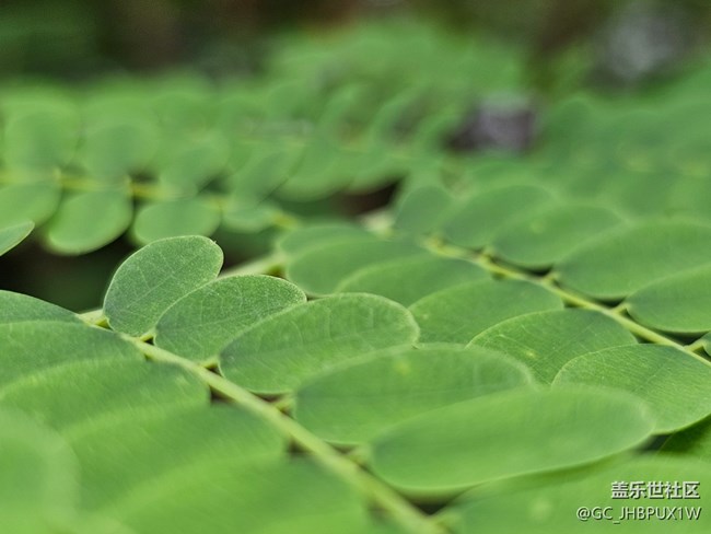 【秋季采风计划】秋天角落