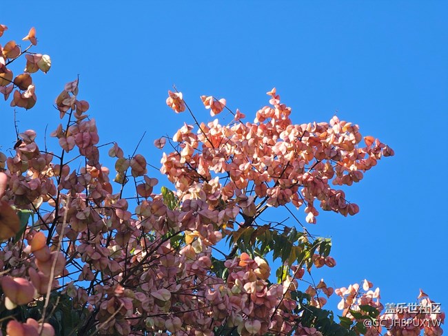 【国庆旅途】旅行的日子里