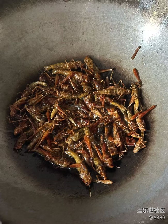 【小雪驱寒食谱】油炸蝗虫