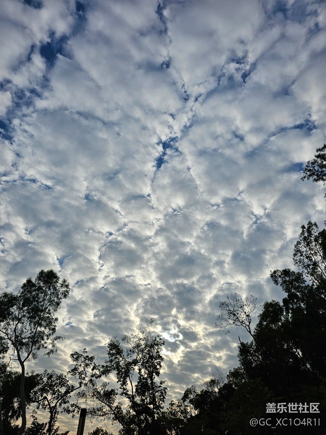 【世间的美好】美好时刻
