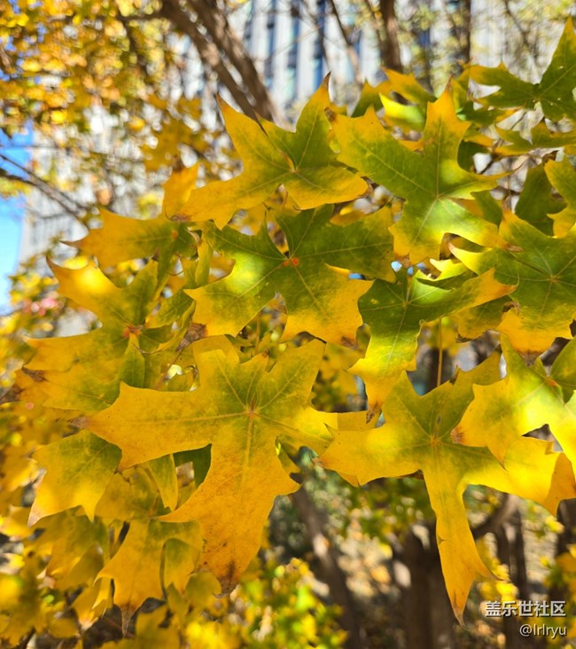 【国庆旅途】自然的美好