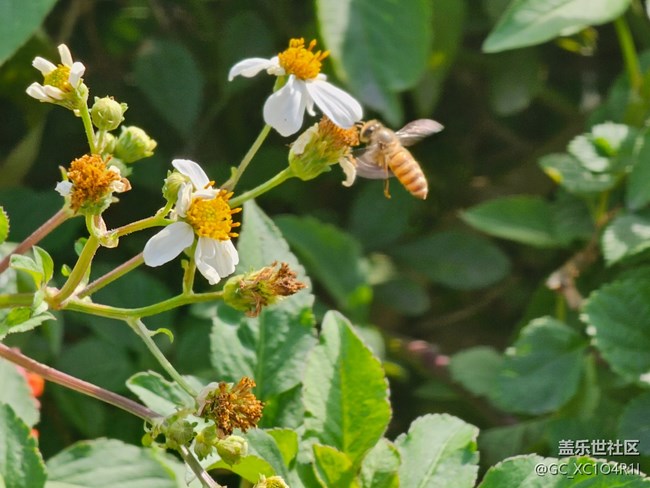 【世间的美好】美好时刻