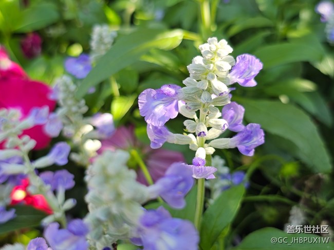 【生活小确幸】好时光