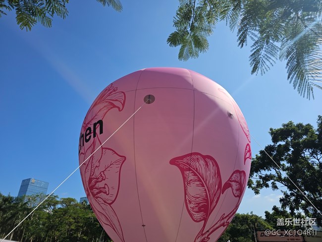 【生活小确幸】日常生活