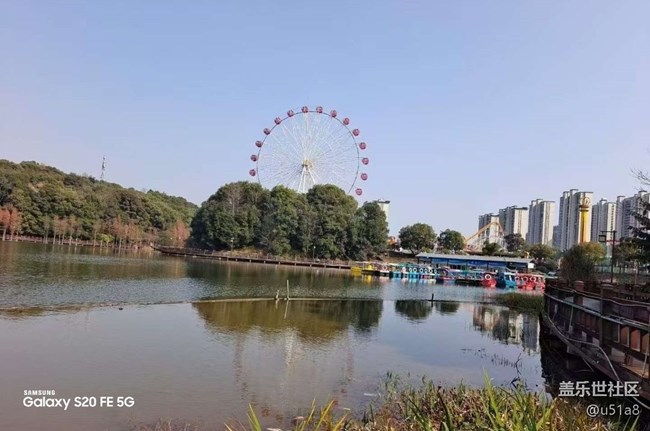 【鹏城寻冬记】冬季公园