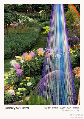 【色彩对话】+公园里的五线谱