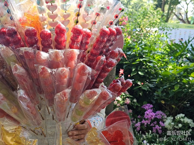 【生活小确幸】日常生活