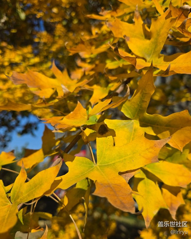 【国庆旅途】自然的美好
