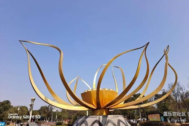 【鹏城寻冬记】冬季公园