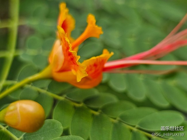 【世间的美好】日常美好