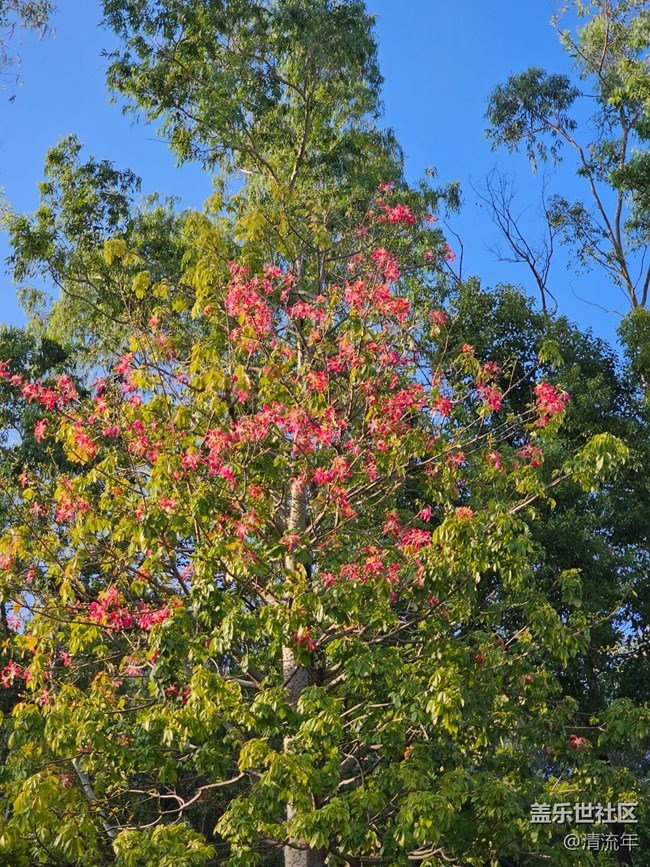 【世间的美好】好时光