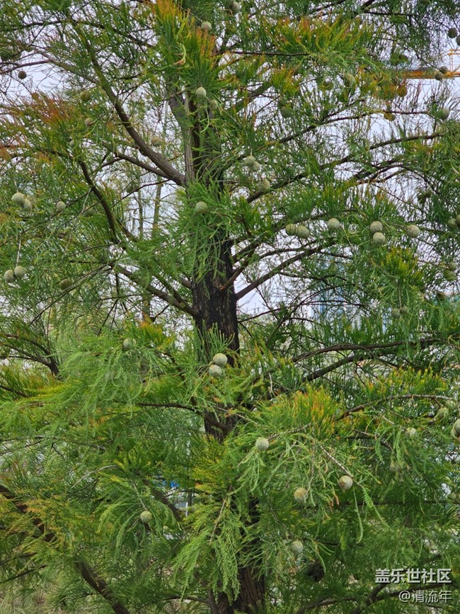 【秋季采风计划】户外散步