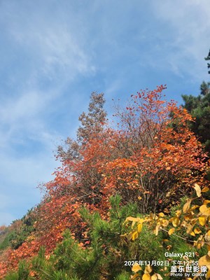 【色彩对话】+深秋时节的秦岭