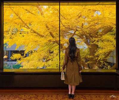 Galaxy S23 Ultra 走进秋天（二）