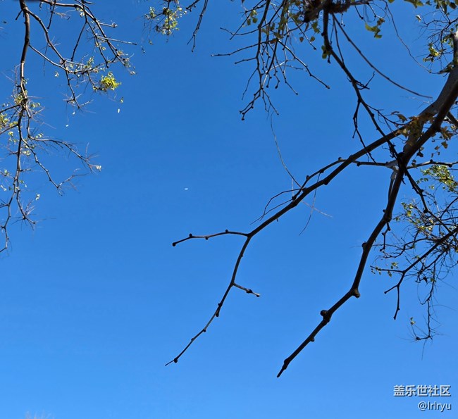 【简而美】简致秋色