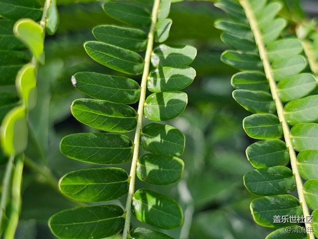 【国庆旅途】路过风景