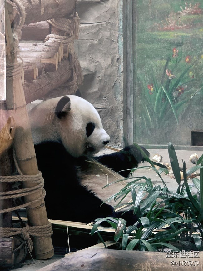 【生活小确幸】生活中的点点滴滴