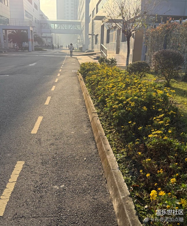 【世间的美好】好天气