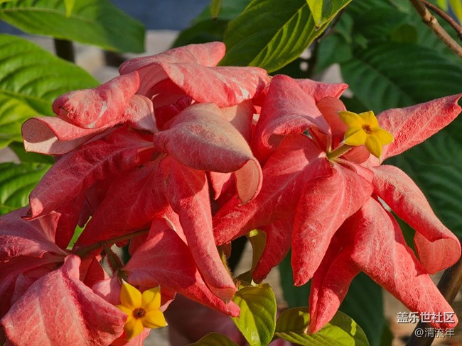 【世间的美好】好时光