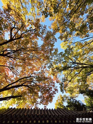 【色彩对话】秋色